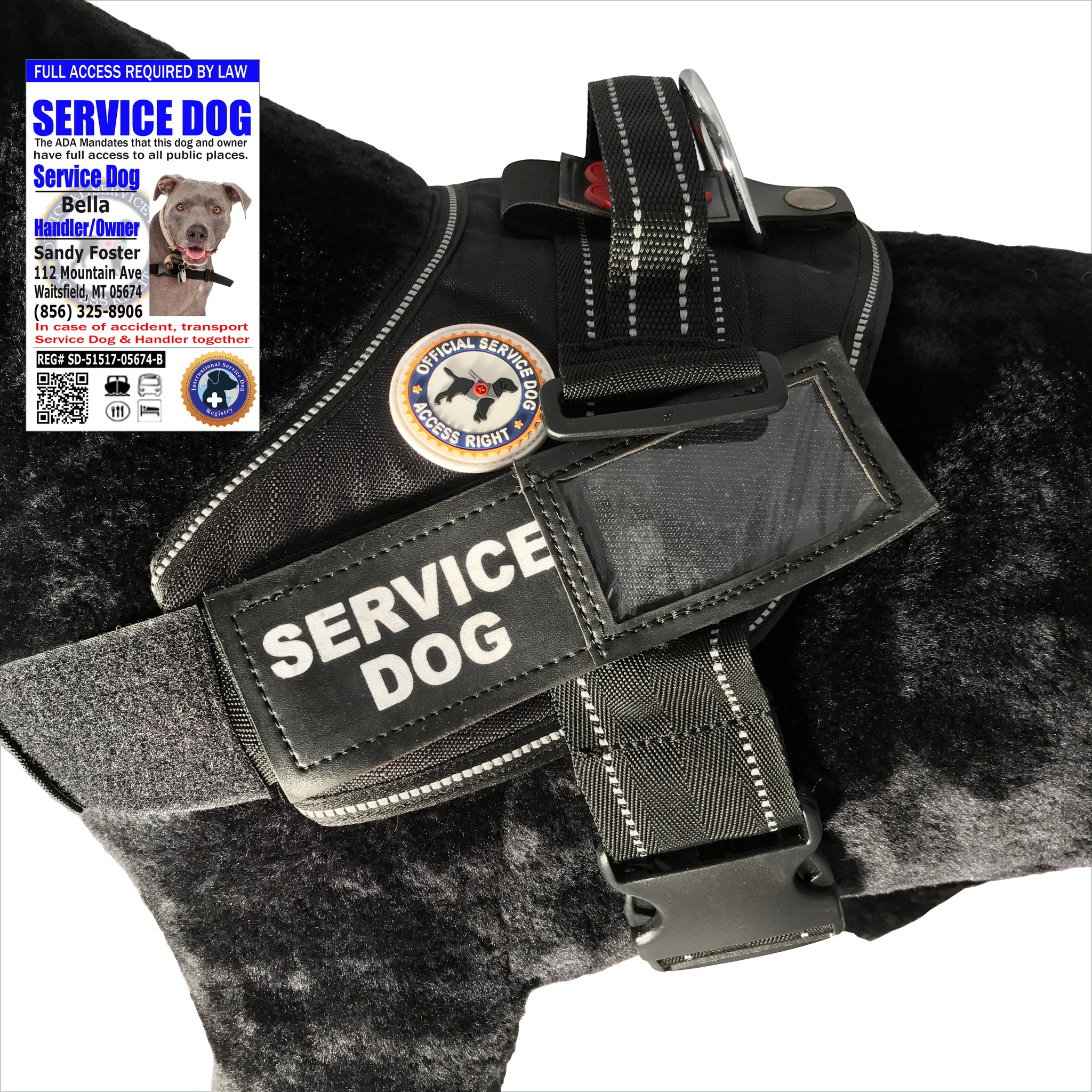 Padded Service Dog Vest | Vest with ID Holder | Black & White Dog Vest  Patches